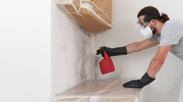 Professional Crawl Space Mold Removal technician working in Bayonne, NJ