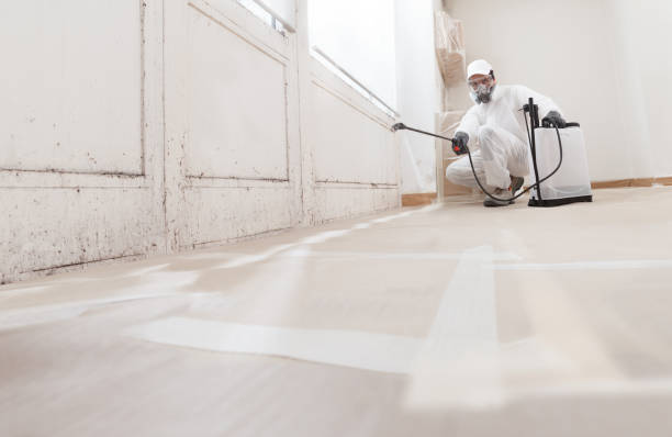 24/7 Emergency Crawl Space Mold Removal experts in Bayonne, NJ
